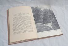 Load image into Gallery viewer, 081 Pioneers of Martins Bay