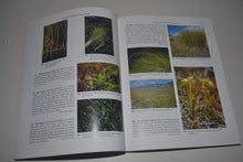 Load image into Gallery viewer, 042 Native New Zealand Flowering Plants