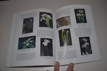 Load image into Gallery viewer, 042 Native New Zealand Flowering Plants