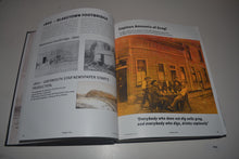 Load image into Gallery viewer, 041 The Golden Grey