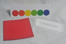 Load image into Gallery viewer, American library buckram