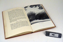Load image into Gallery viewer, 081 Pioneers of Martins Bay