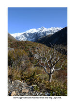 Load image into Gallery viewer, Arthurs Pass and the Otira Gorge in colour, by B.E. Baughan