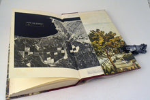 Load image into Gallery viewer, 116 Story of Napier
