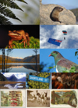 Load image into Gallery viewer, Paper Craft Pack - New Zealand Icons 2
