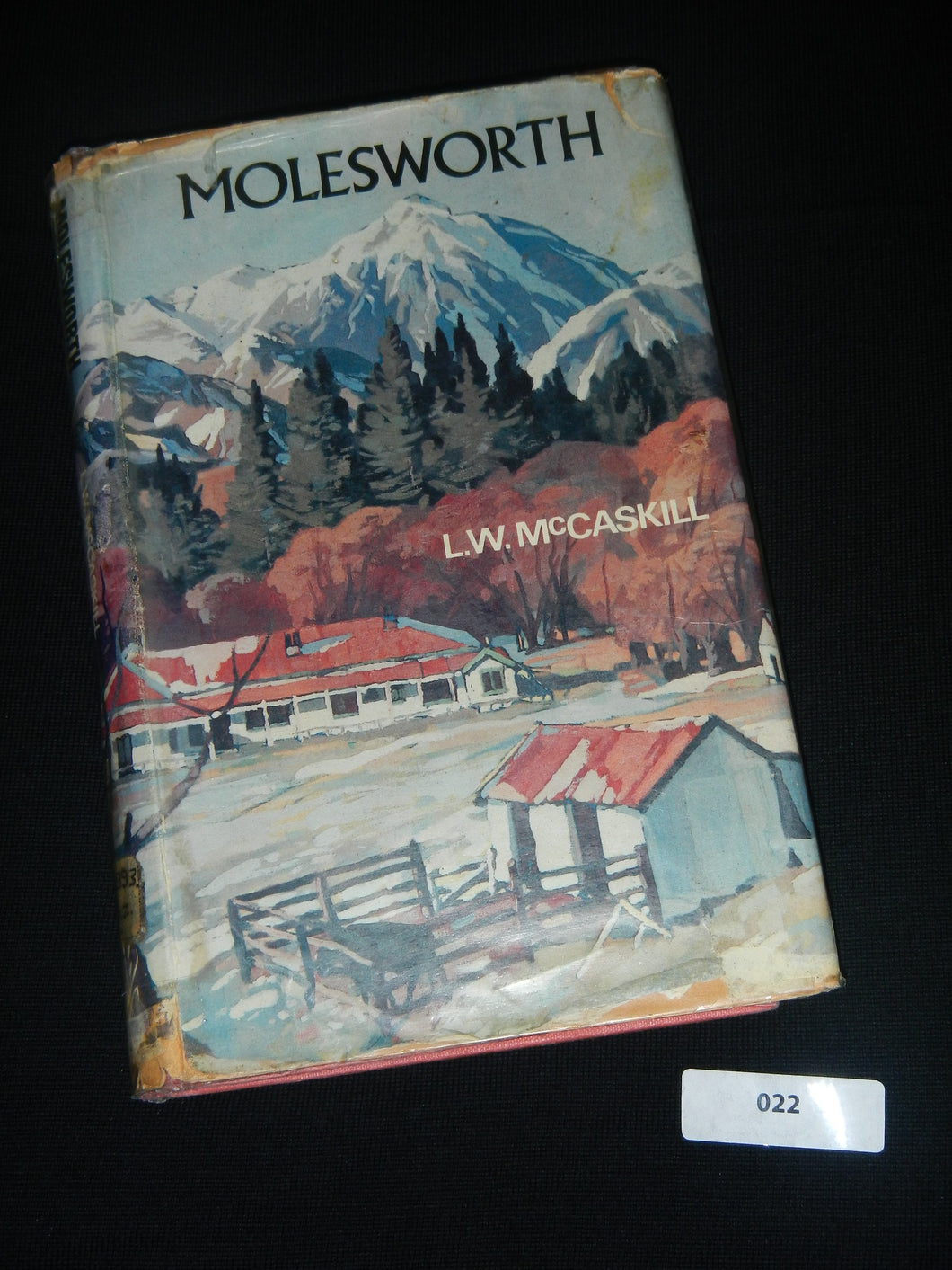 022 Molesworth by L.W. McCaskill