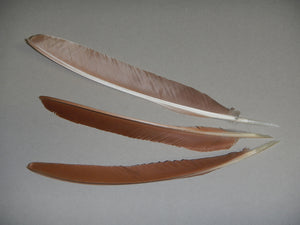 Traditional quill pen