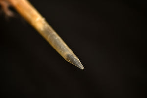 Traditional quill pen