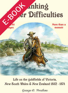 Banking Under Difficulties PDF